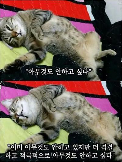 후기 사진 1