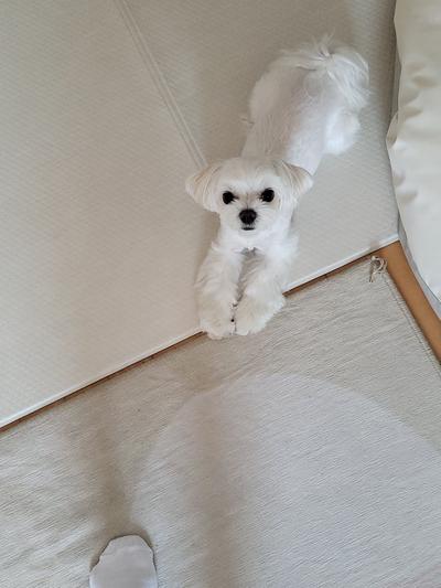 후기 사진 1