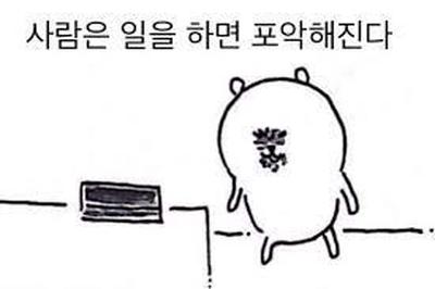 후기 사진 1