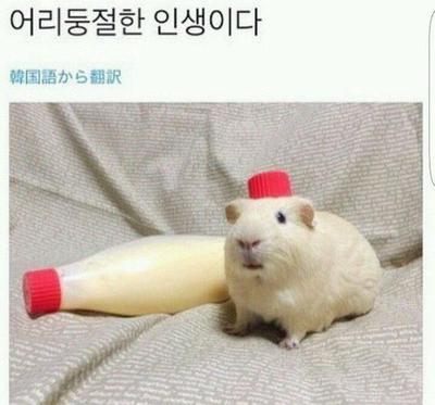 후기 사진 1