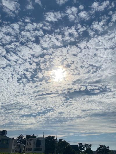 후기 사진 1