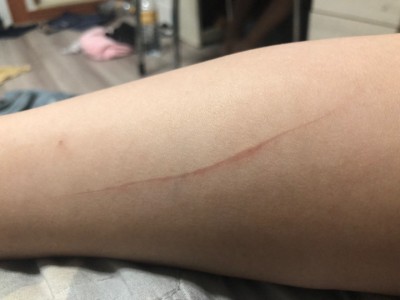 후기 사진 1