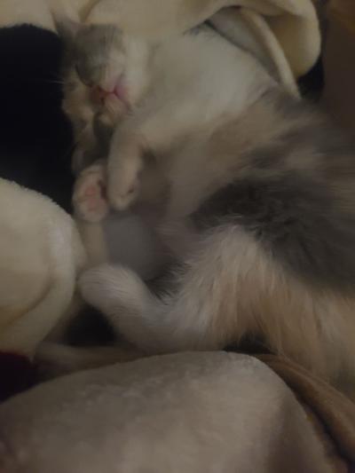 후기 사진 2
