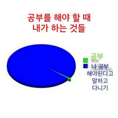 후기 사진 1