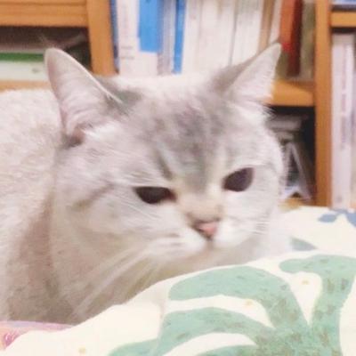 후기 사진 1