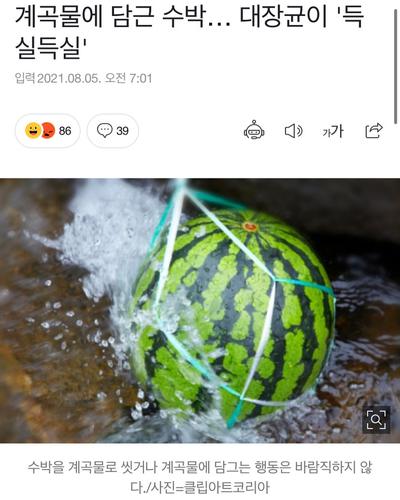 후기 사진 1