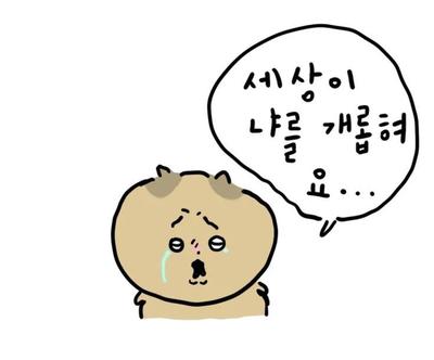 후기 사진 1