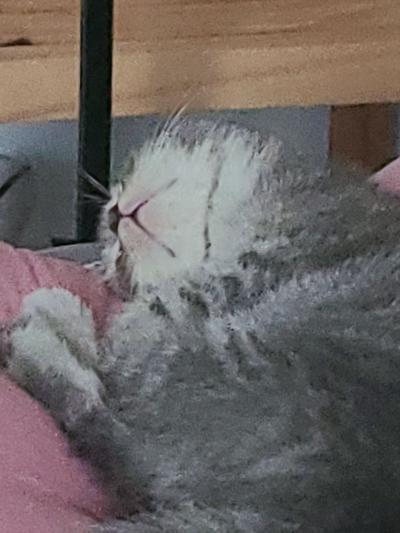 후기 사진 2