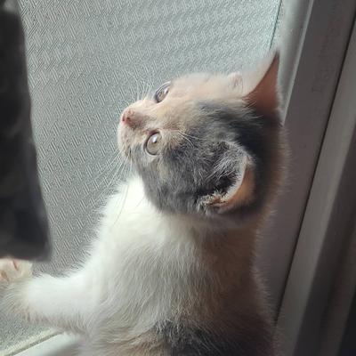 후기 사진 5