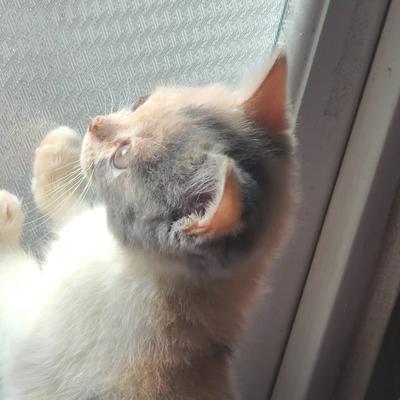 후기 사진 6