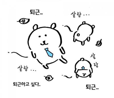 후기 사진 1