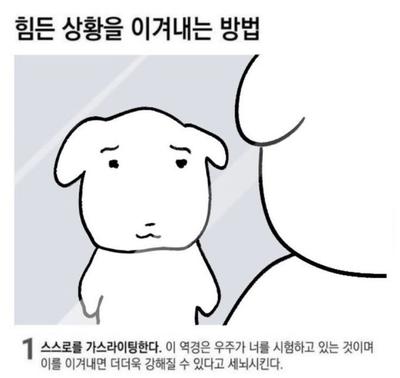 후기 사진 1
