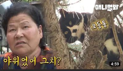 후기 사진 1