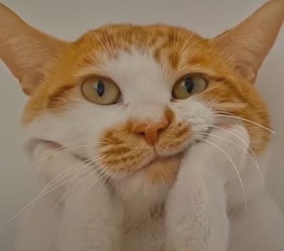 후기 사진 1