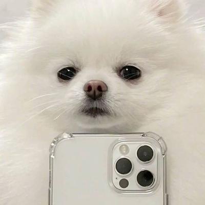 후기 사진 3