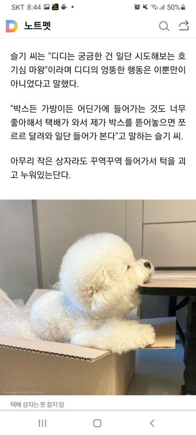 후기 사진 4