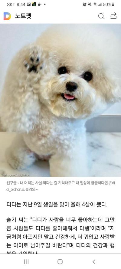 후기 사진 6