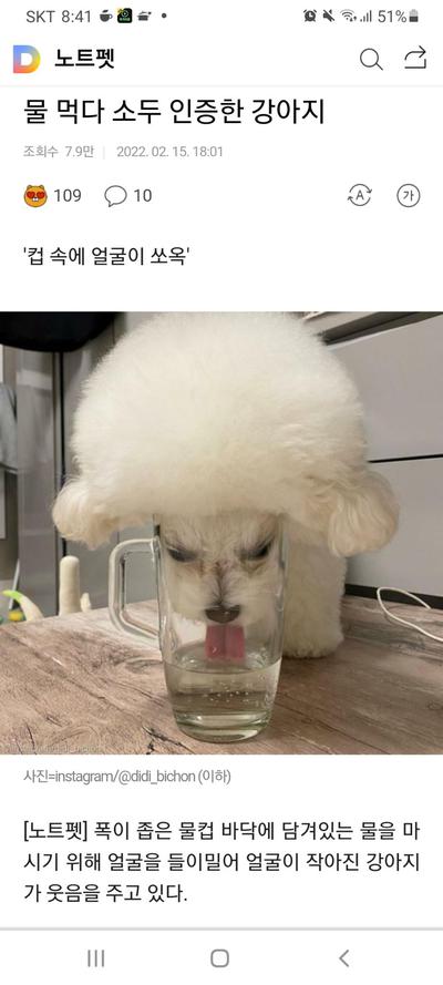 후기 사진 1