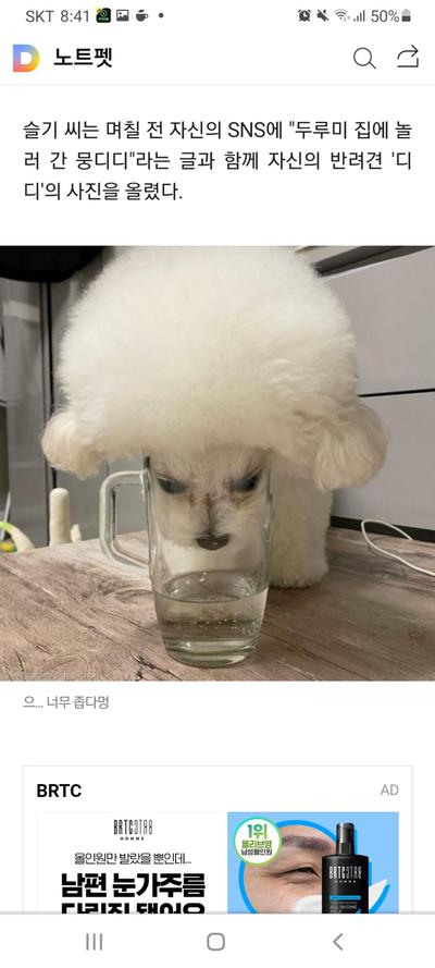 후기 사진 2