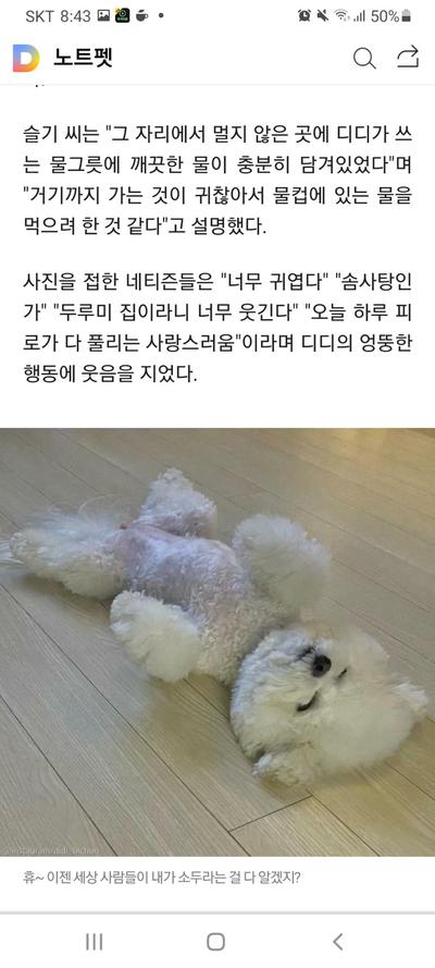 후기 사진 5