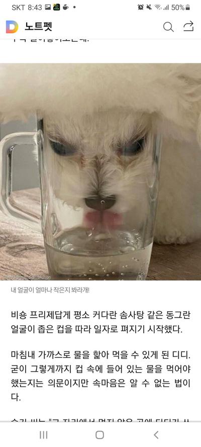 후기 사진 3