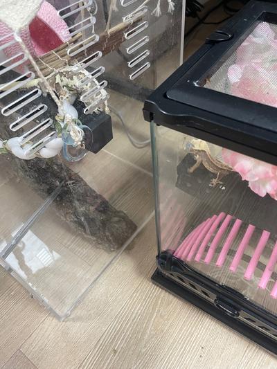 후기 사진 1