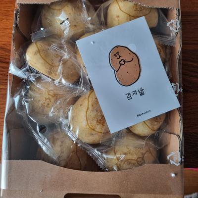 후기 사진 1
