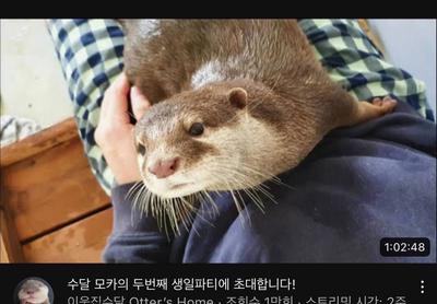 후기 사진 1