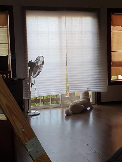 후기 사진 1