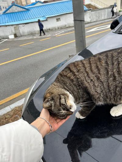 후기 사진 1