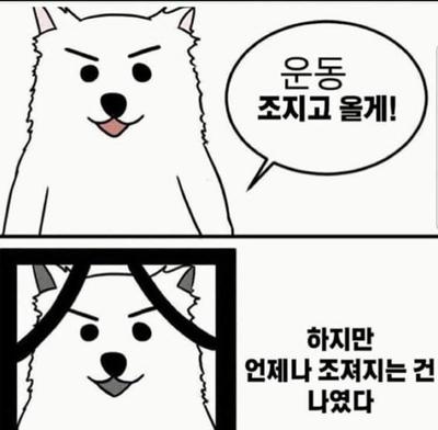 후기 사진 1