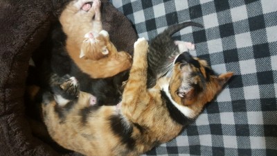 후기 사진 2