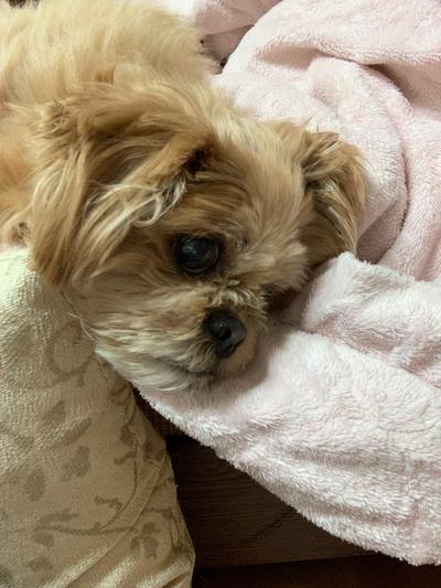 후기 사진 2