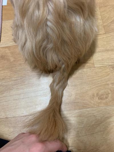 후기 사진 3