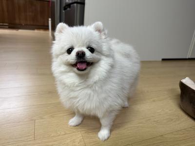 후기 사진 1