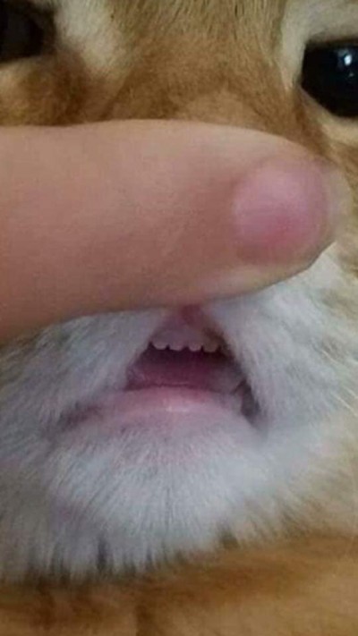 후기 사진 1