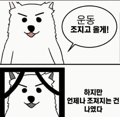 후기 사진 1