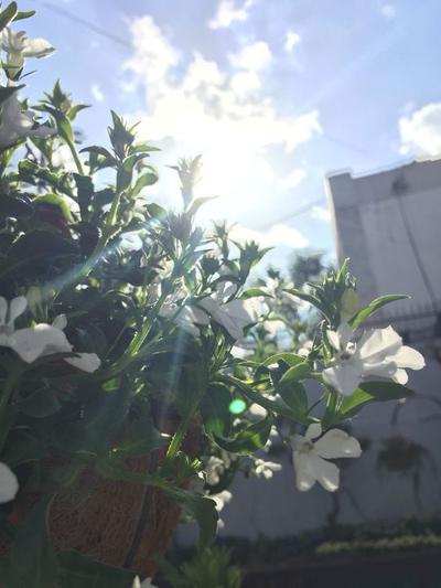 후기 사진 1