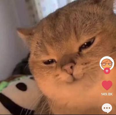 후기 사진 1