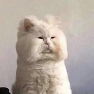 후기 사진 1