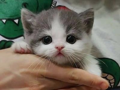 후기 사진 1