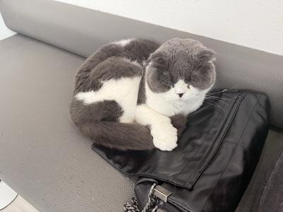 후기 사진 1