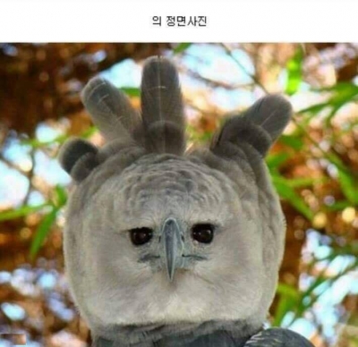 후기 사진 2