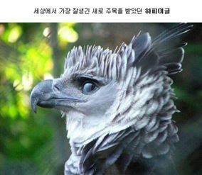후기 사진 1