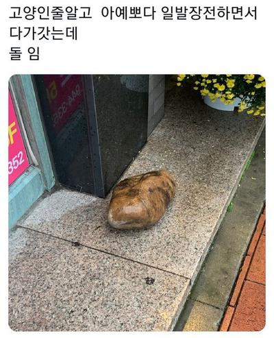 후기 사진 1