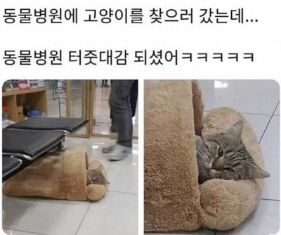 후기 사진 1