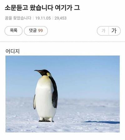 후기 사진 1