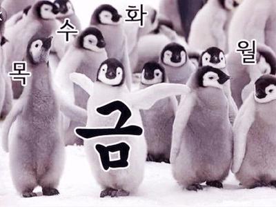 후기 사진 1