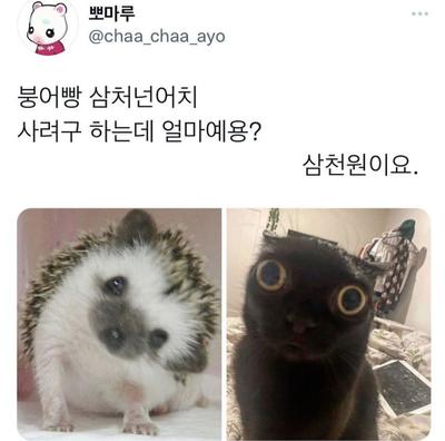 후기 사진 1