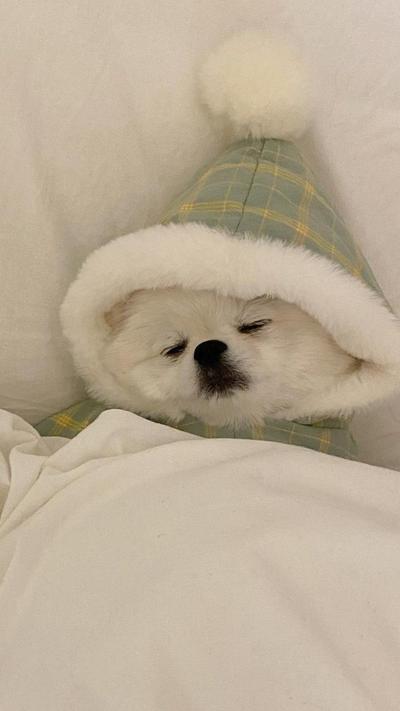 후기 사진 1